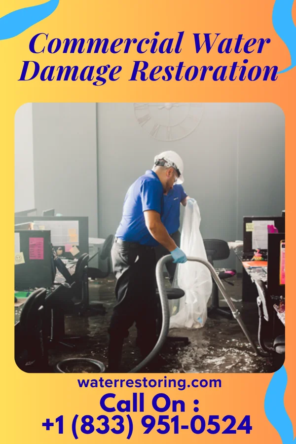 Commercial Water Damage Restoration in Preston Heights, IL
